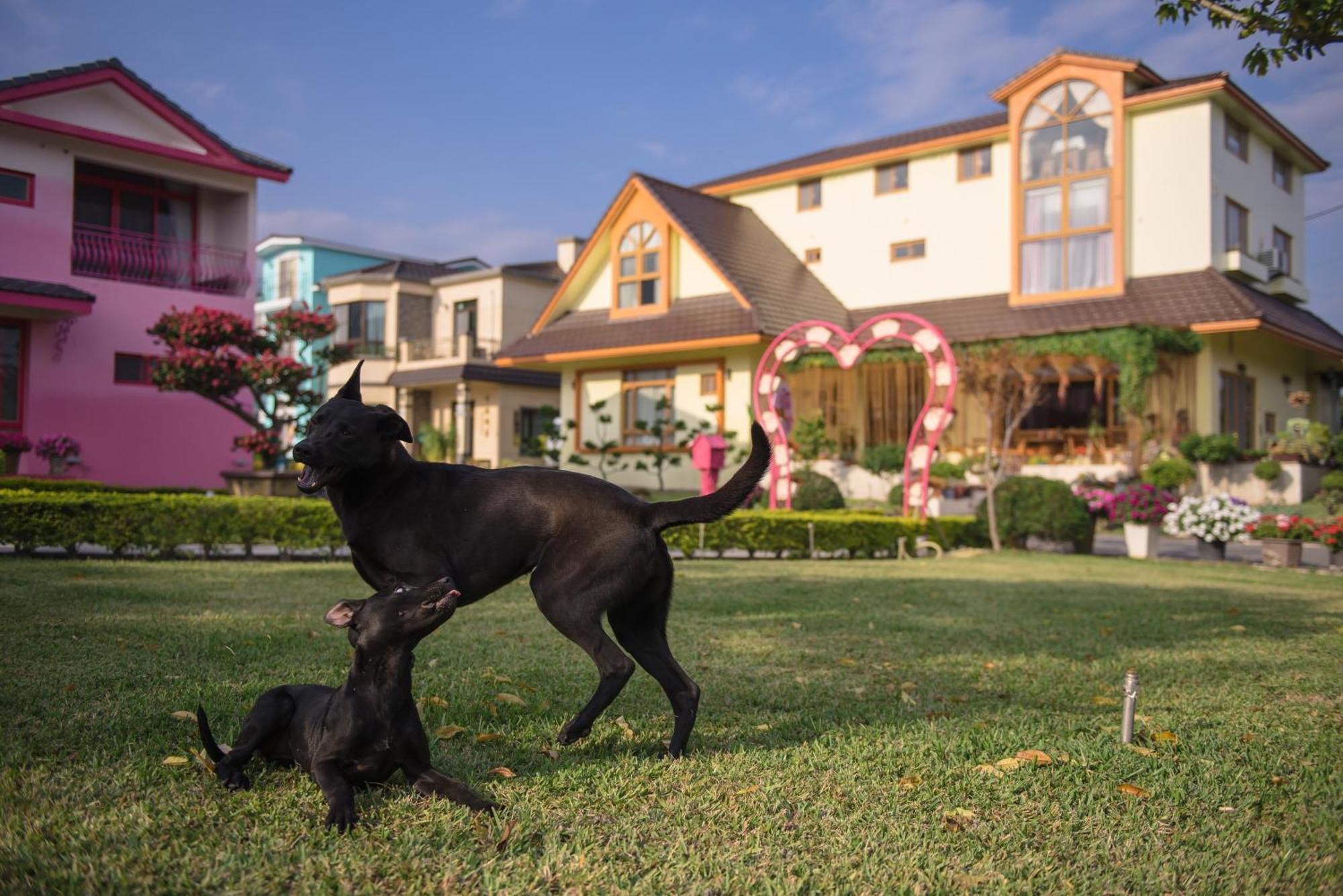 Xinfu Traveler Inn Taiping  Esterno foto