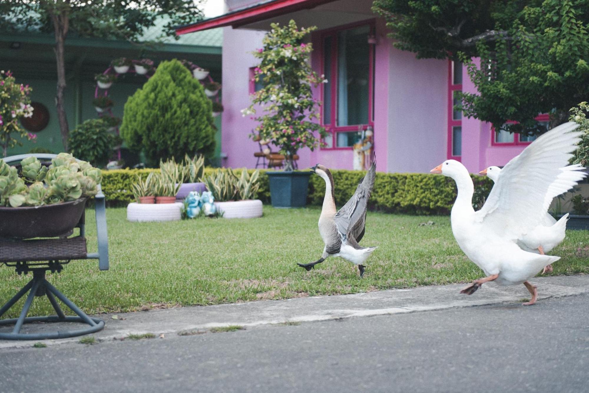 Xinfu Traveler Inn Taiping  Esterno foto