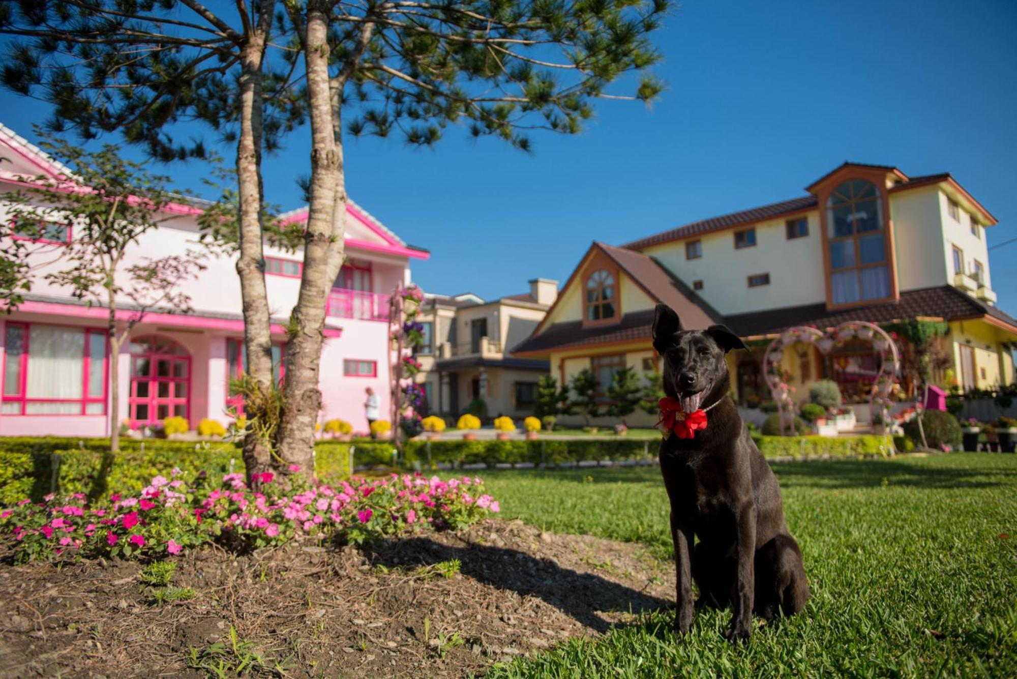 Xinfu Traveler Inn Taiping  Esterno foto